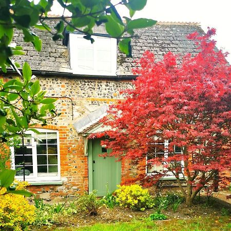 Historic, Traditional & Spacious Wiltshire Cottage 쉬루톤 외부 사진