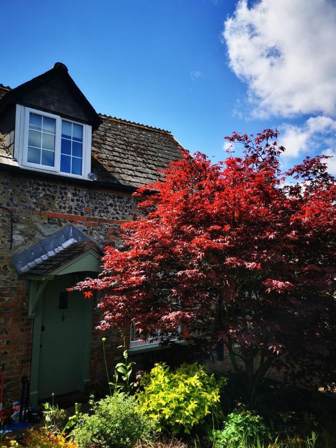 Historic, Traditional & Spacious Wiltshire Cottage 쉬루톤 외부 사진